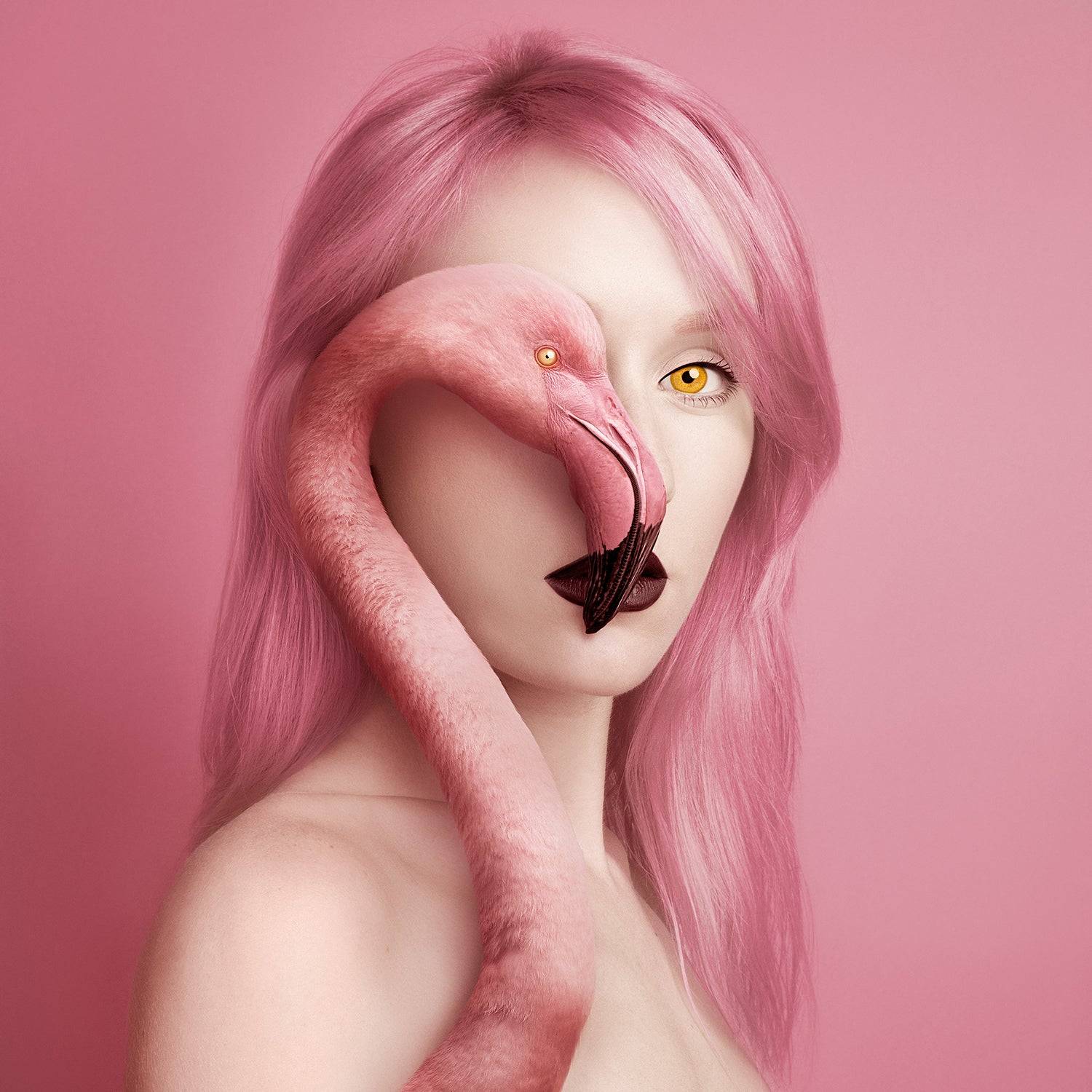 Woman portrait in pink with a flamingo